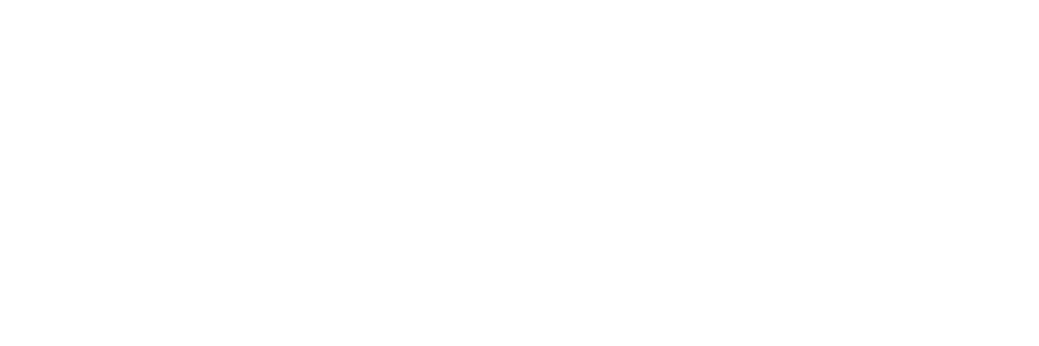 Websense logo